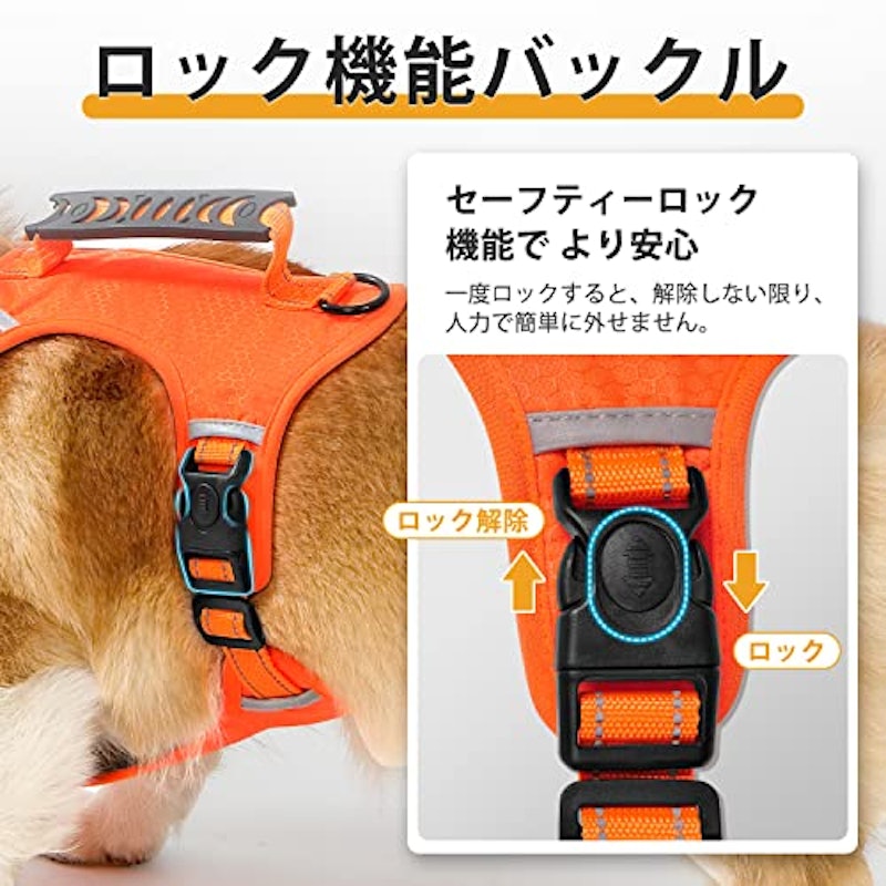 犬用ハーネス 4