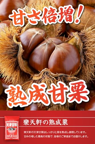 天津甘栗 2