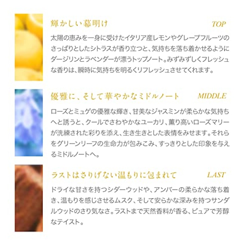 シトラスレモン オードトワレ 6