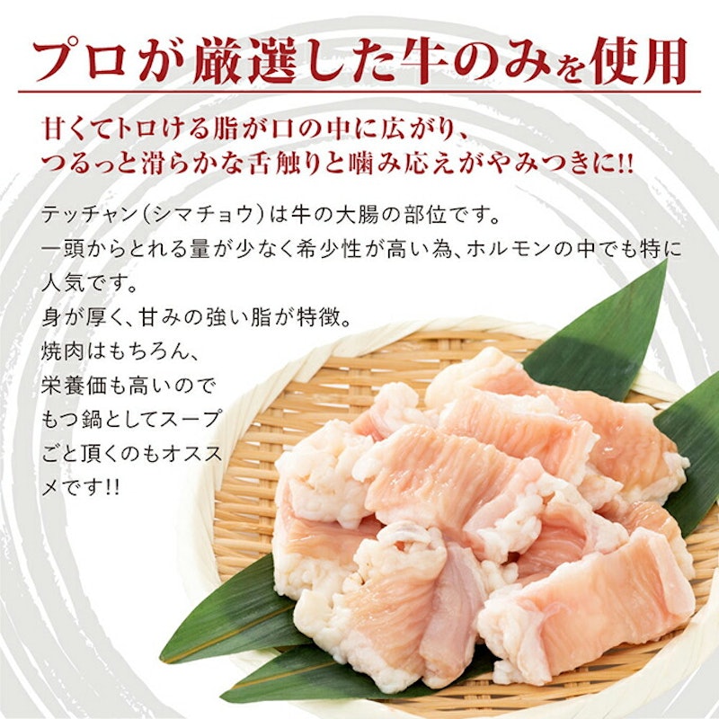シマチョウ テッチャン 3