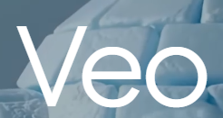 Veo2 1