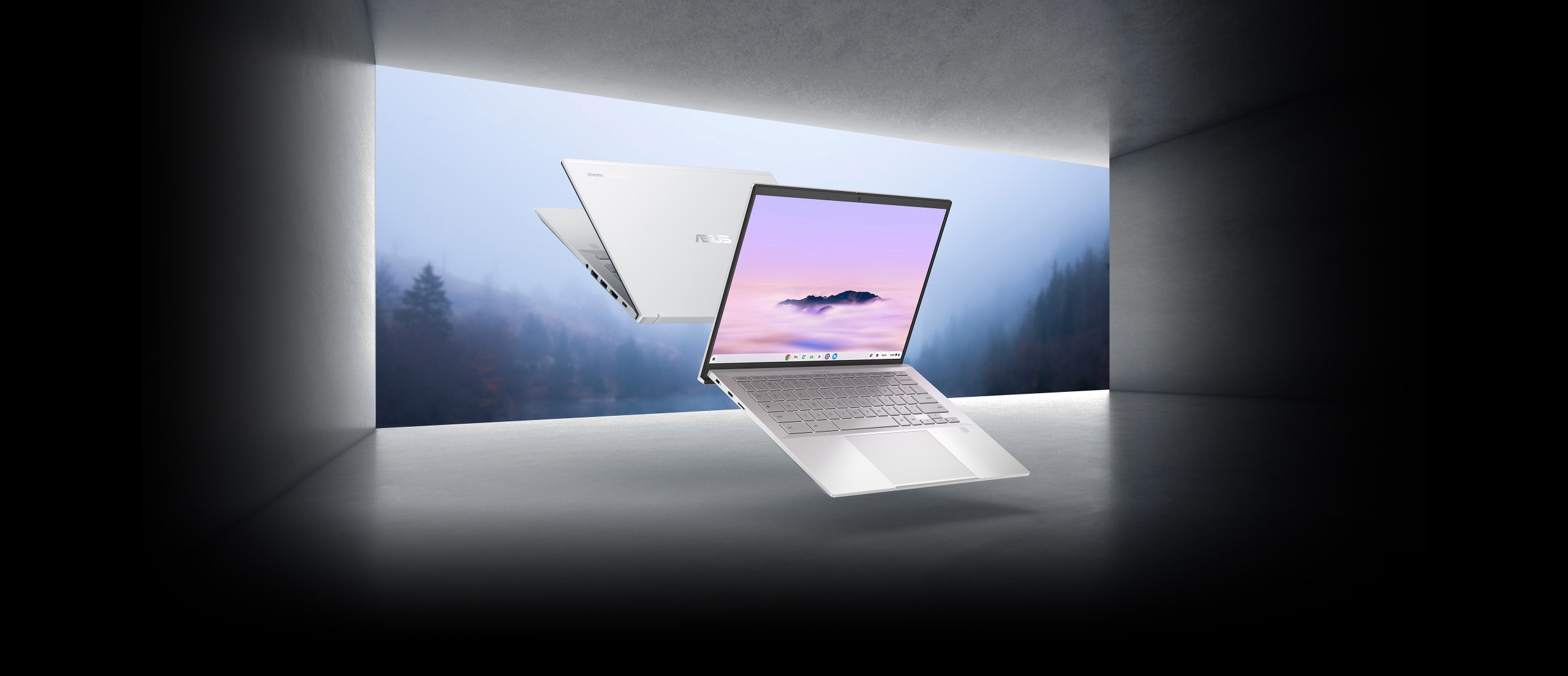 ExpertBook CX54 Chromebook Plus 1