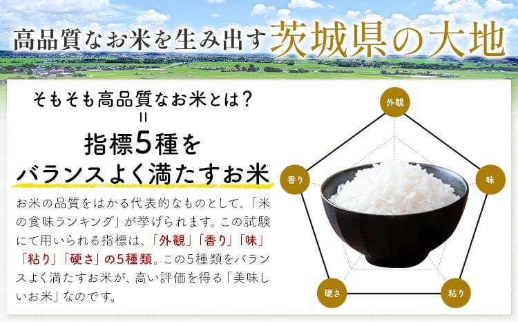 こしひかり 定期便 3