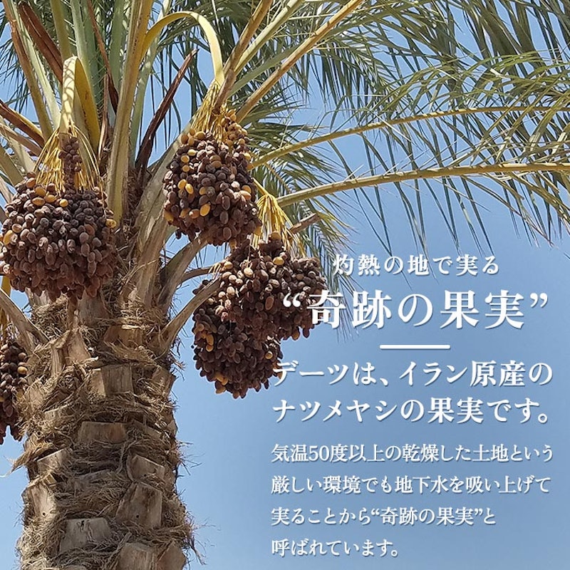 種抜きドライデーツ 3