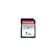 Transcend Information SDXCカード 1TB 1