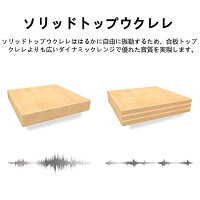 Donner ウクレレ 3