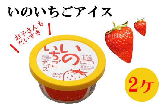 高知アイス 5