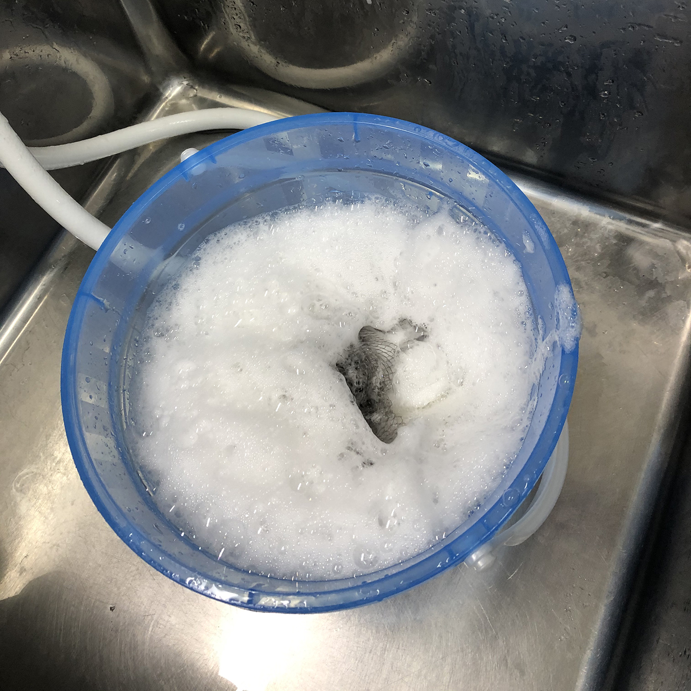 Lion ペットキレイ 毎日でも洗えるリンスインシャンプー Mybest