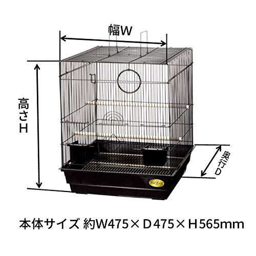 バードパレス・キング 2