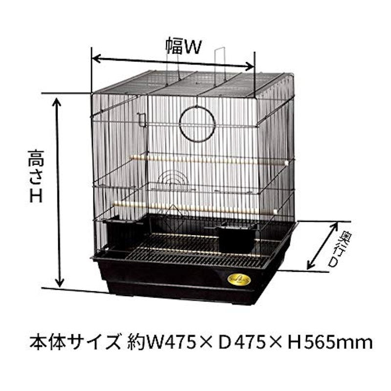 バードパレス・キング 2