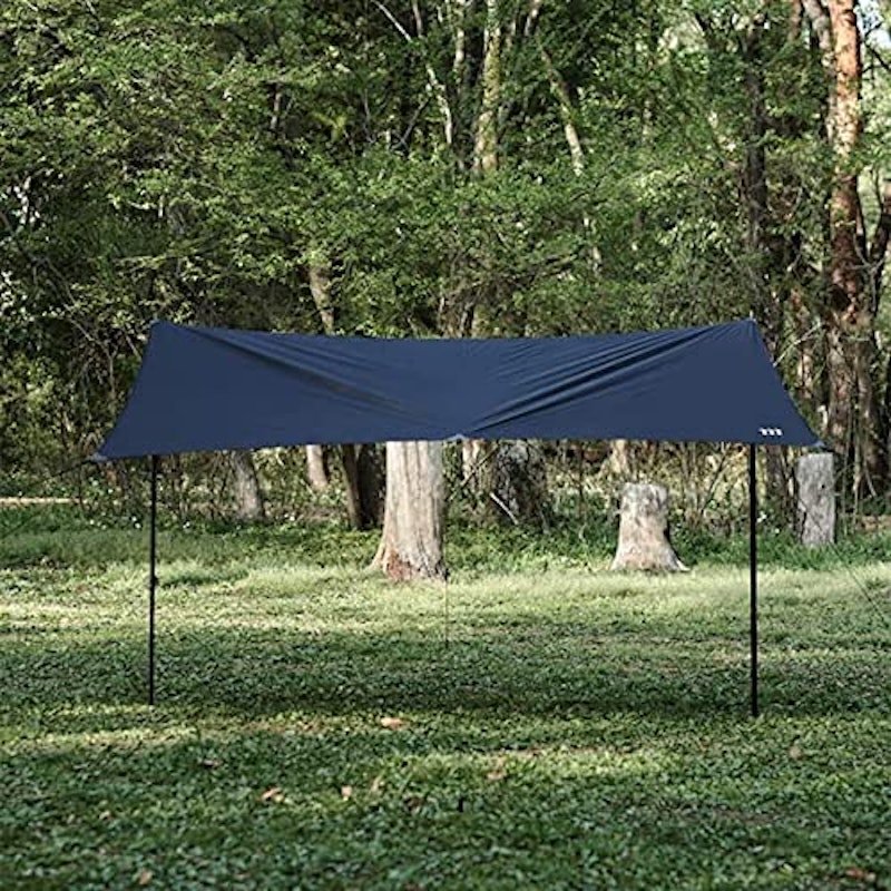 RAPIDE TARP 2