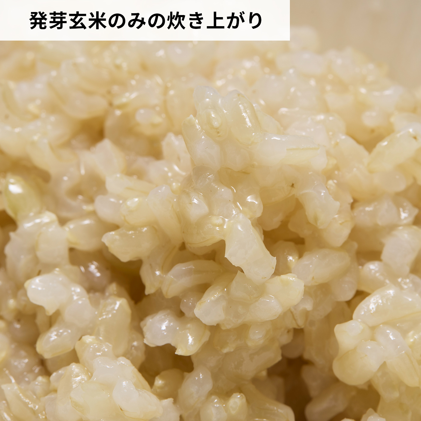 やわらかおいしい発芽玄米 6