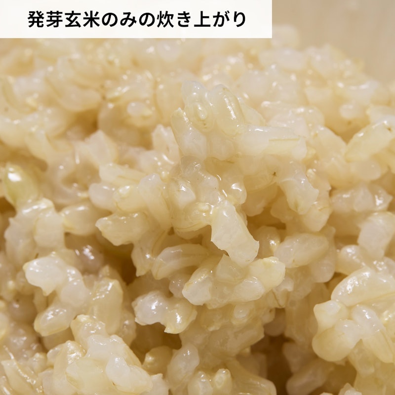 やわらかおいしい発芽玄米 6