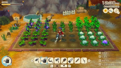 牧場物語 Let's！風のグランドバザール 2
