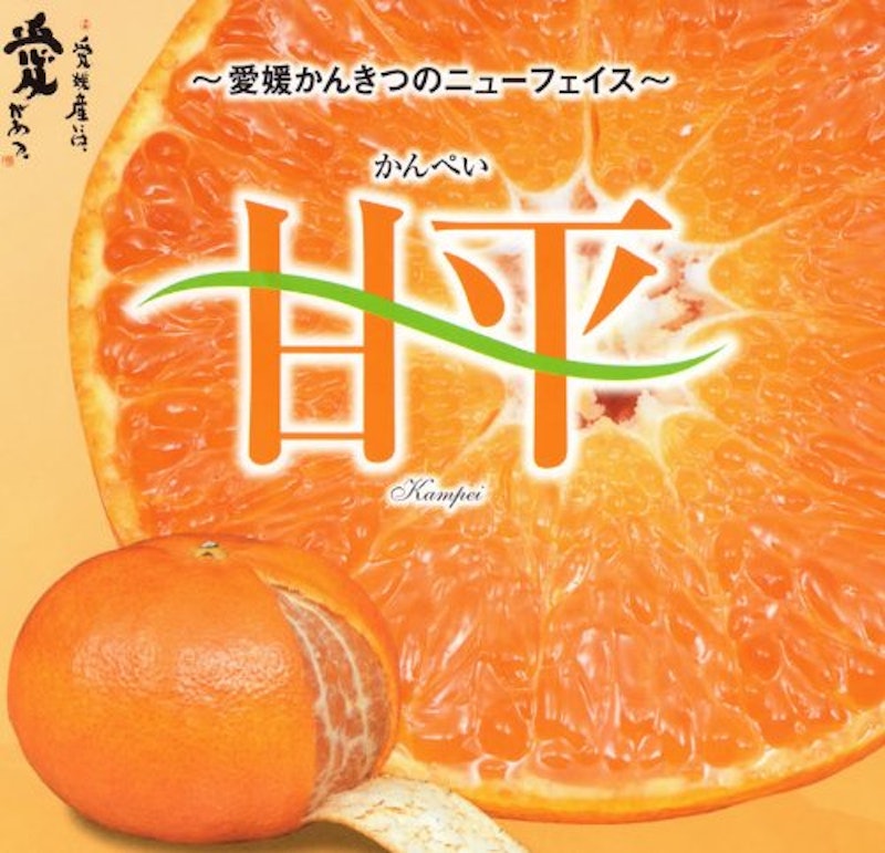 愛媛県産 甘平 1