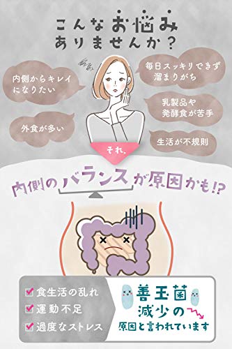 めぐみの乳酸菌  3