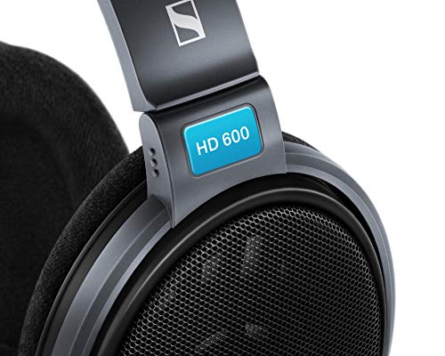 HD 600 6