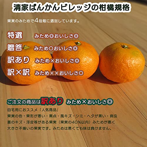 せとか 訳あり 3