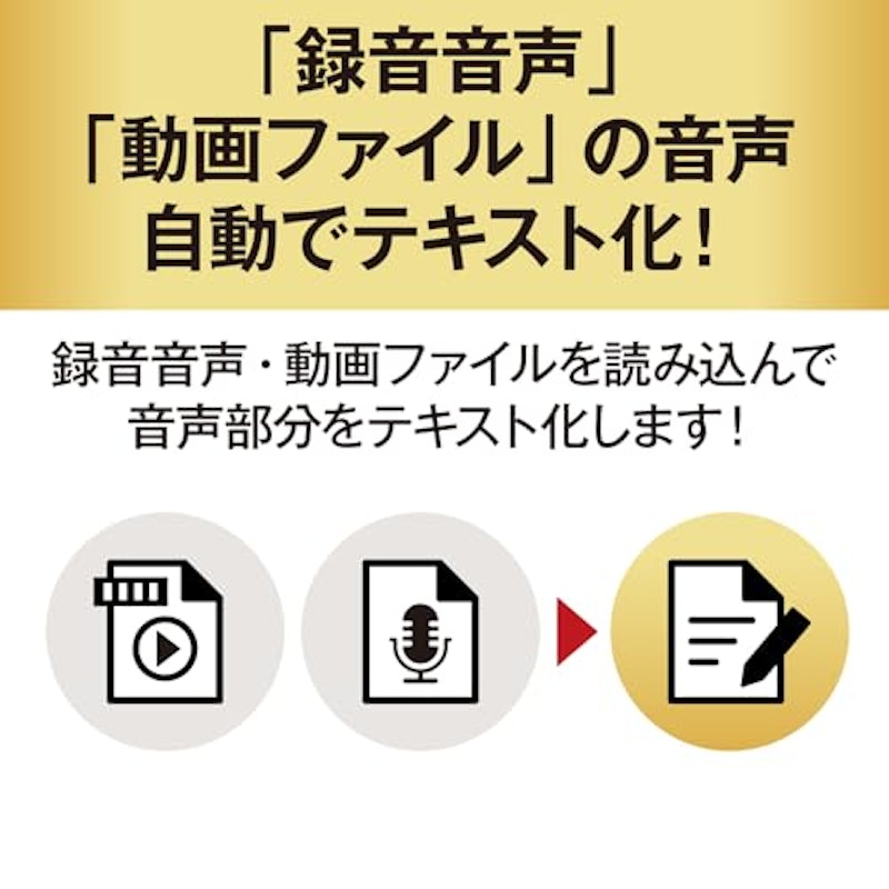 Voice Rep Pro 4 4