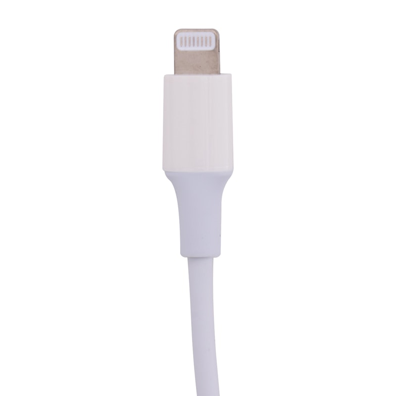 USB C to Lightningケーブル 2