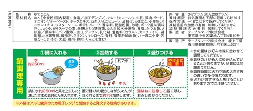 CoCo壱番屋監修カレーうどん 2