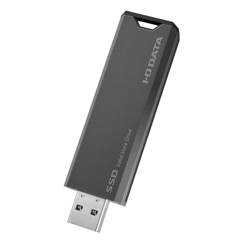 スティックSSD 1