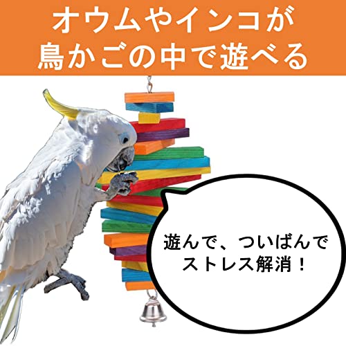 恵比寿 販売 インコ グッズ