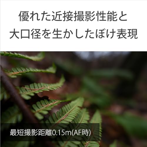 FE 16mm F1.8 G 4