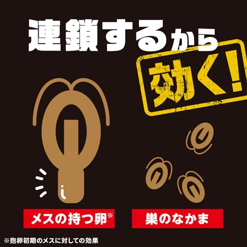 ブラックキャップ 2