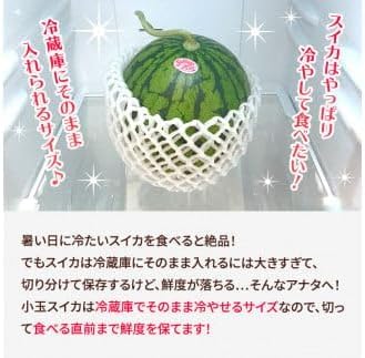 小玉すいか 3
