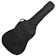 荒井貿易 PB-AG Acoustic Guitar 1