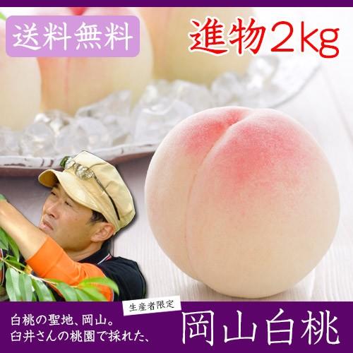 岡山白桃 1
