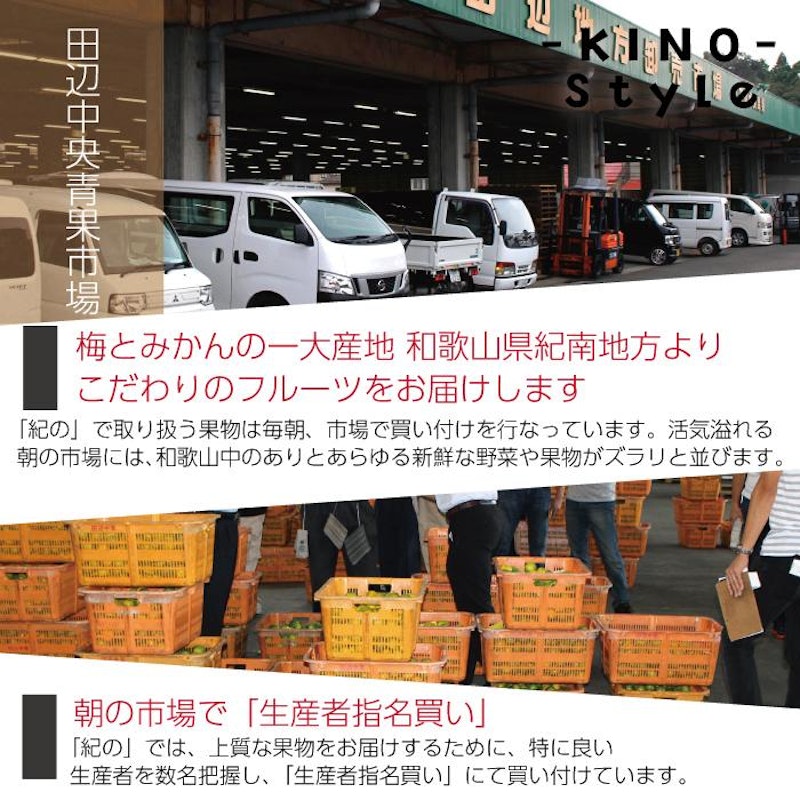 まりひめ 8