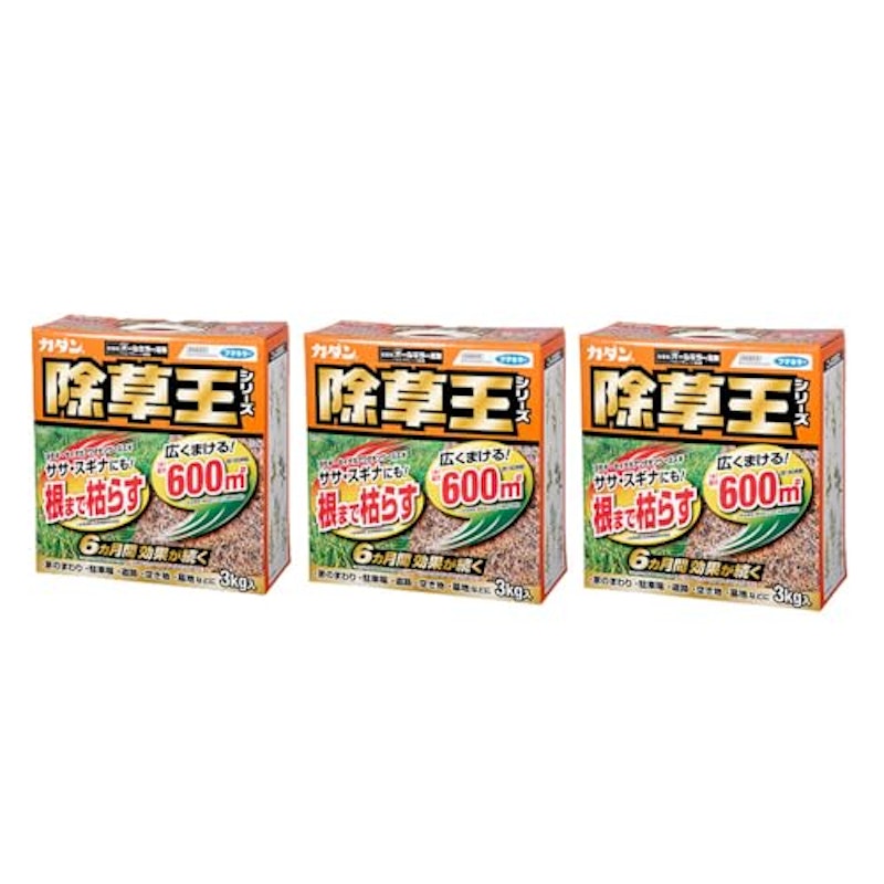 フマキラー除草王 1