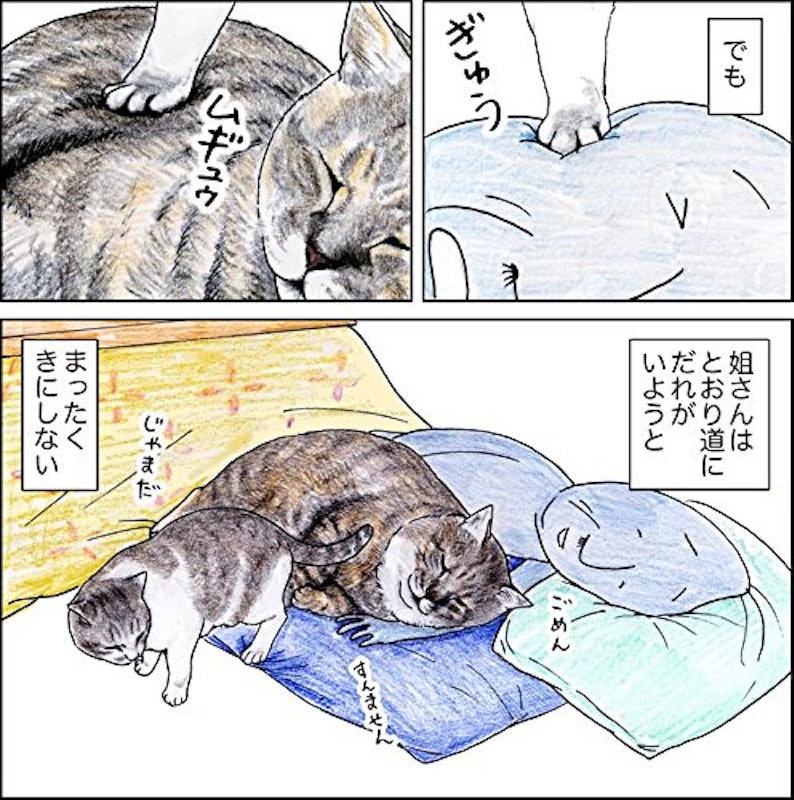 俺、つしま 8