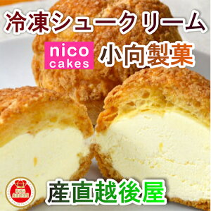 nicoシューバニラ 1