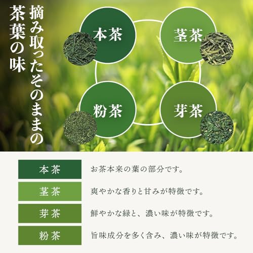 深むしティーパック 抹茶入り 5