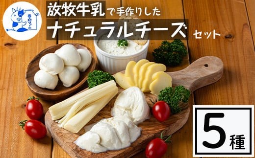 放牧牛乳の手作りチーズセット 1