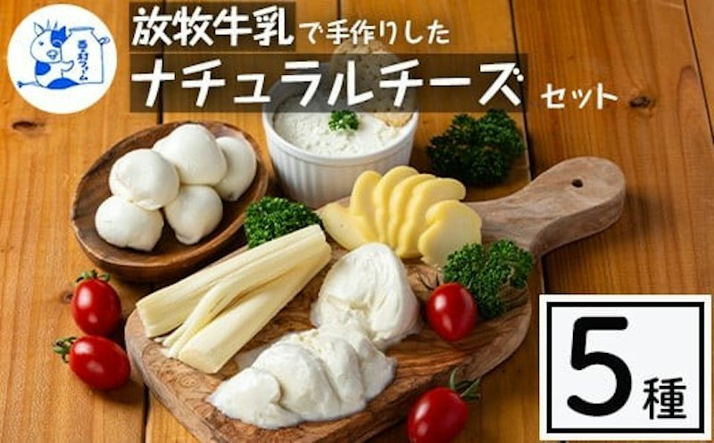 放牧牛乳の手作りチーズセット 1