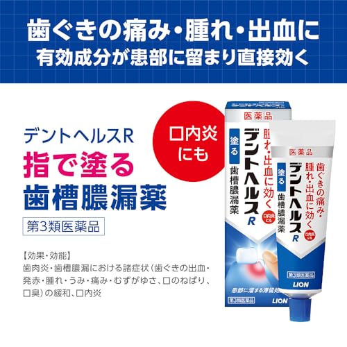 デントヘルスR 塗る歯槽膿漏薬 2