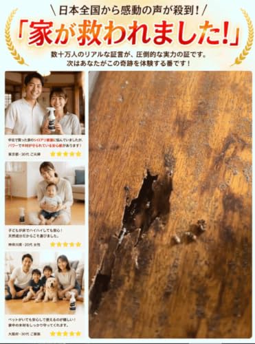 シロアリ退治スプレー 6