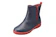 パンジー レインステップ 1