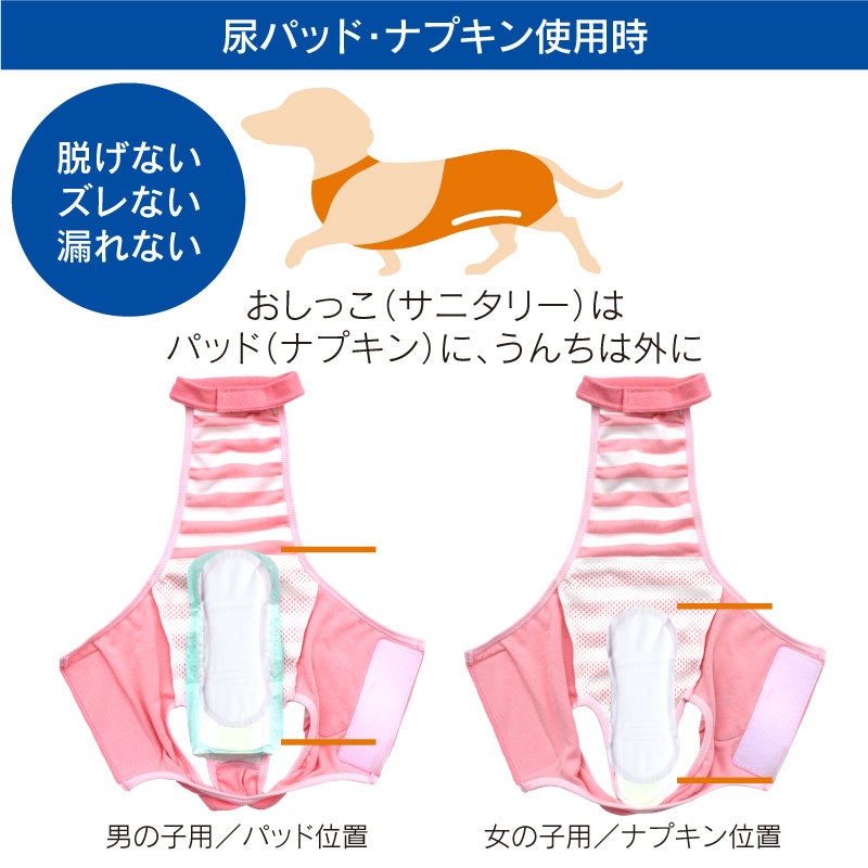 マナーパンツ 5