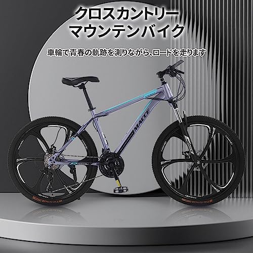 マウンテンバイク 2
