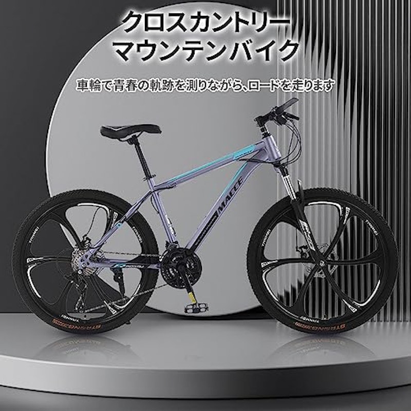 マウンテンバイク 2