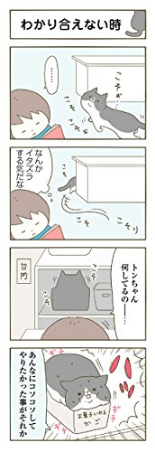 うちの猫がまた変なことしてる。  3