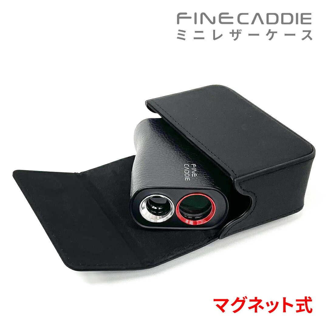 ミニレザーケース 2