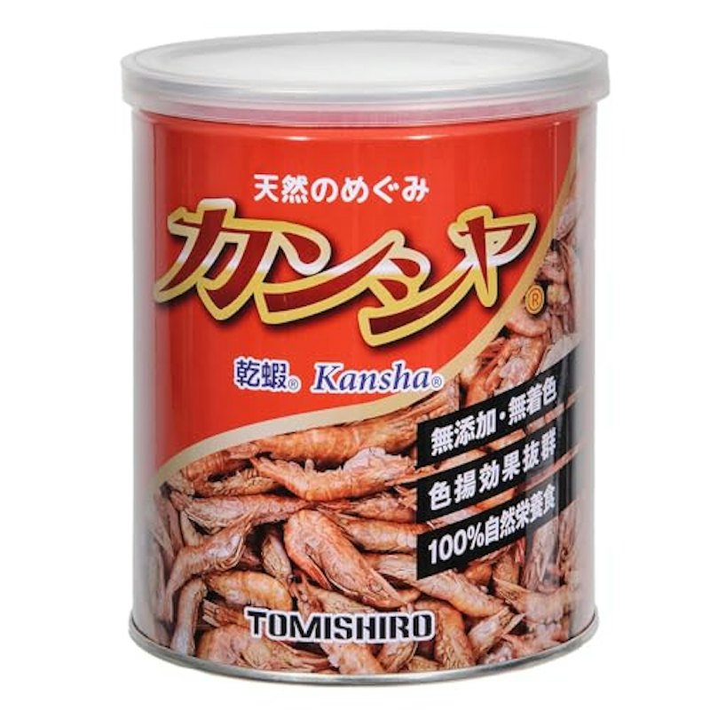 天然手長エビ 1