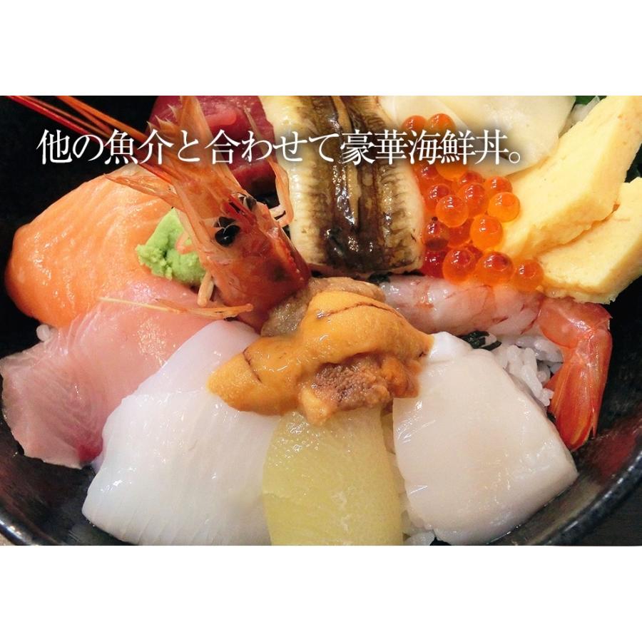 訳あり 生ほたて貝柱 6