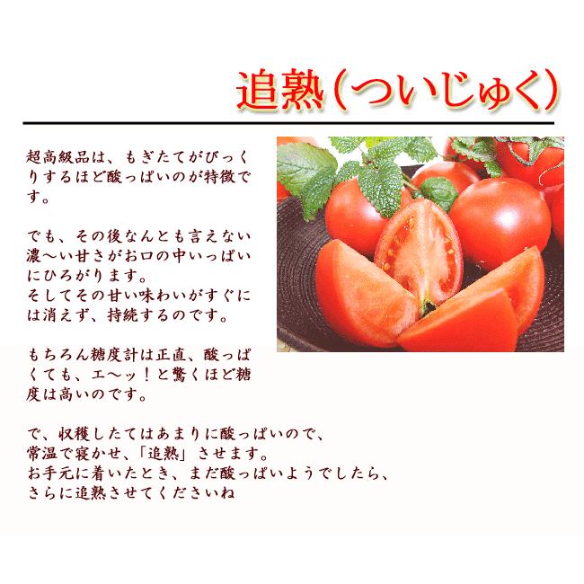 高糖度フルーツトマト 5